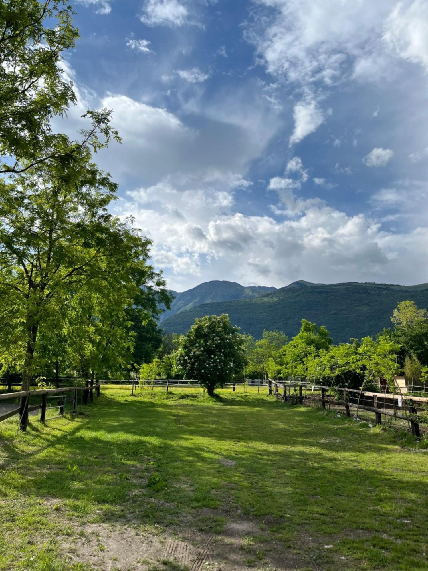 Agriturismo Al Ranch Castello d'Aviano Екстер'єр фото