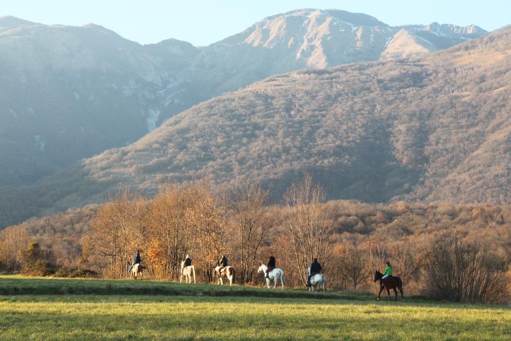Agriturismo Al Ranch Castello d'Aviano Екстер'єр фото